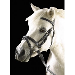 English bridle, padded with White